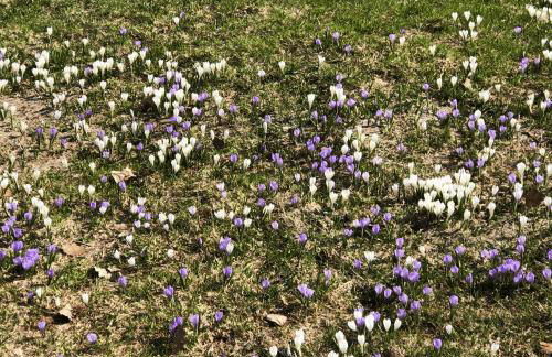 Angelas Ferienwohnungen Oberstaufen - Foto 53