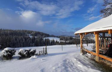 Miodowa Chata Pokoje Gościnne - Foto 33