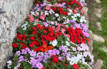 Palazzo Cervesato Appartamento: Maria Luisa - Photo 29