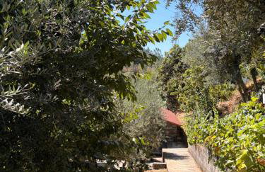 Casa Oliveiras - Casas do Sinhel - Foto 2