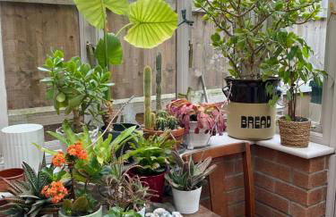 Terraced Garden House Three Bedrooms - Foto 10