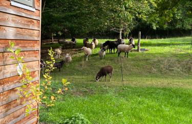 Grimmwald Tiny House - Photo 18