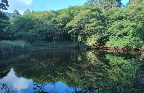 Condado Aldeia dos Reis - Foto 53