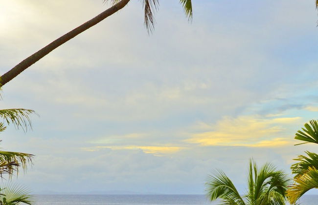 Taveuni Palms - Photo 68