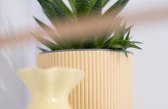 Rosmaris - Villa nel verde - Foto 42