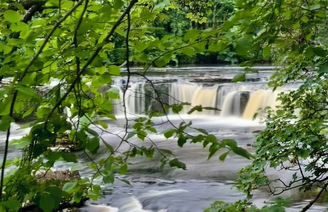 River Dance Cottage - Foto 28