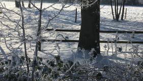 FeWo Hasen Suite - Foto 4