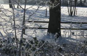 FeWo Hasen Suite - Foto 4