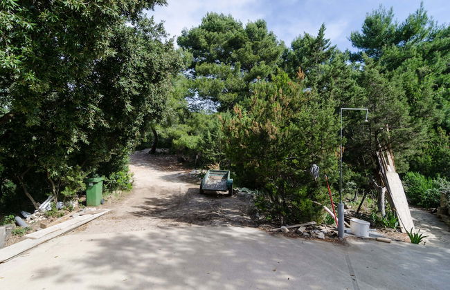 Apartments Limuni - Foto 64