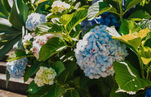 Ocean View Villa Retreat Quinta do Sol - Photo 25