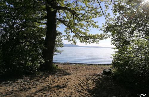 Bio-Ferienwohnung Ellensohn - Foto 21