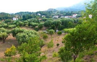 Pie' d'Ulivo - Foto 90