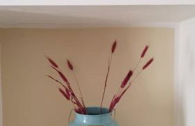 Villa tra gli ulivi - Foto 20