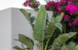 Alma Sunset Suites - Foto 13