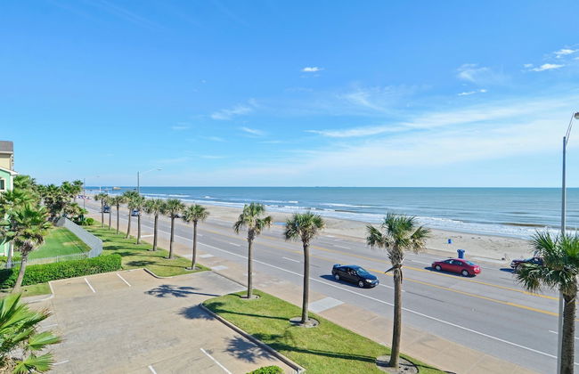 Absolute Paradise-dawn 1031 - Photo 3