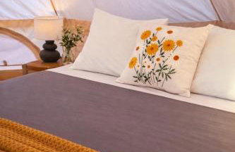 Monte da Tojeirinha - Photo 8