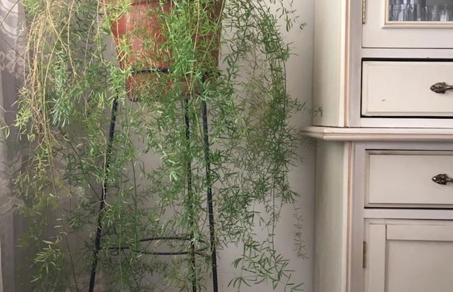 Huancaro Familiar Apart - Photo 6