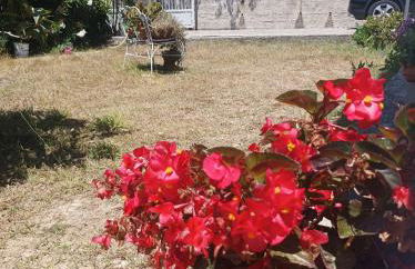 Villa Giardino degli oleandri Palinuro - Foto 53