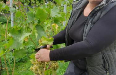 Weingut Lahmer August Appartment Rebstock - Foto 25