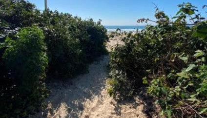 Aptos Pé na areia - Foto 2