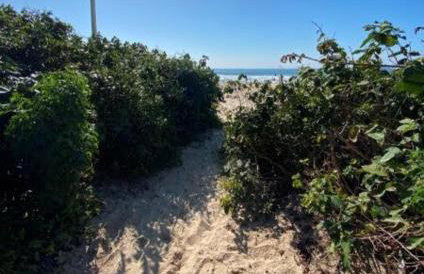 Aptos Pé na areia - Foto 2