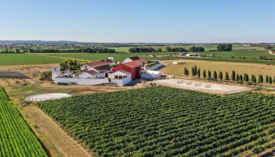 Quinta da Gafaria - Foto 5