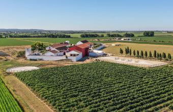 Quinta da Gafaria - Foto 5