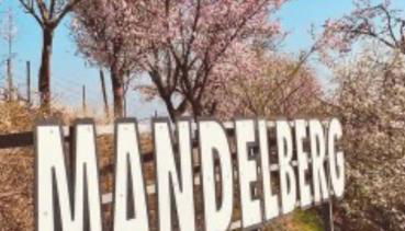 Le Haut Standing - Photo 3