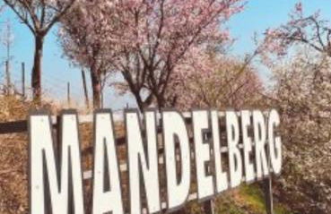 Le Haut Standing - Photo 3