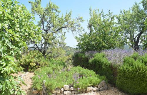 Delightful, Authentic Quinta with Swimming Pool near Beach & Towns - Foto 24