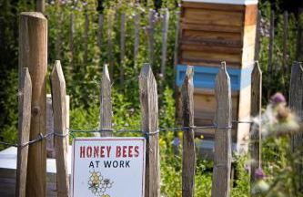 Home Farm & Lodge - Foto 45