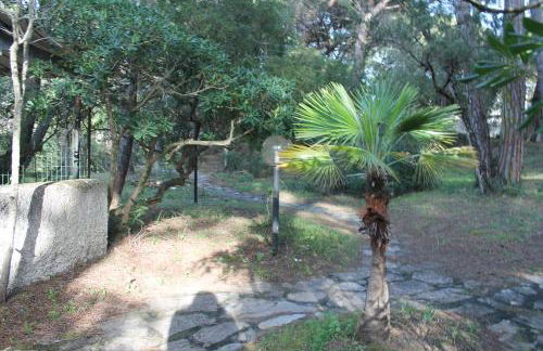 Appartamento La Perla a soli 100m dal mare a Marina di Castagneto - Foto 14