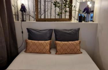 Albin le musicien - Foto 6