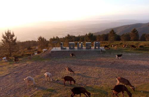 Casa do Pastor - Foto 1