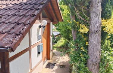 Hegauzauber - Foto 36