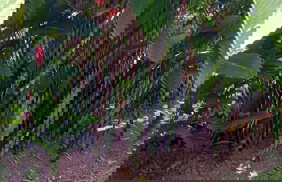 Villas Lux Arenal - Foto 15