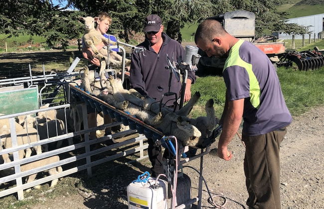 Pahau Downs High Quality Farmstay - Foto 12