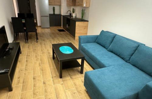 Apartament Dolina Baryczy - Foto 8