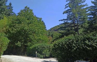 IL Bosco di Campo Marzano Sunlight - Foto 39