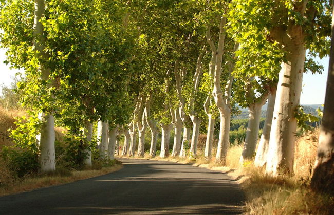 Chateau du Puits es Pratx - Foto 35