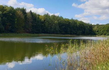 Haus an der Pferdekoppel am Blankenburger See - Photo 40