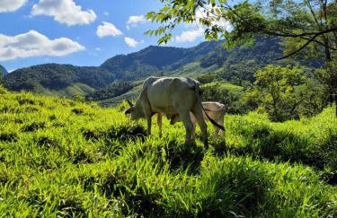 Fazendinha Paraíso - Foto 16