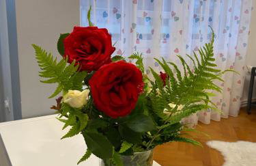 Apartment in the city center - Foto 1