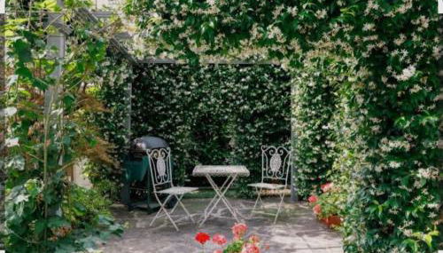 Casa Doriana in Maslianico - Photo 4, Garden