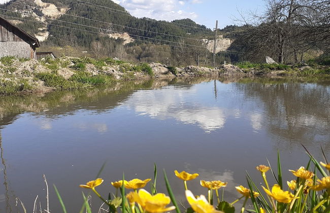 Rustic Wild Retreat IN Romania - Foto 75