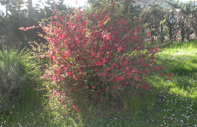 Agriturismo Le Rose - Foto 54