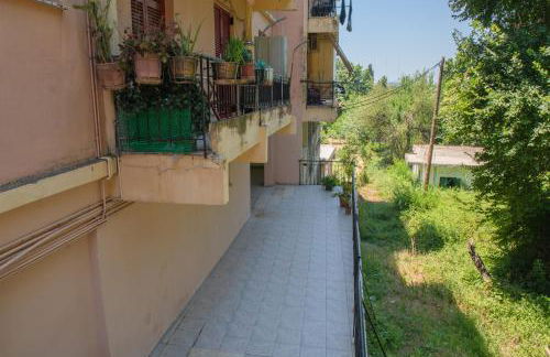 Jungle In The City ,Corfu - Kanoni - Foto 23