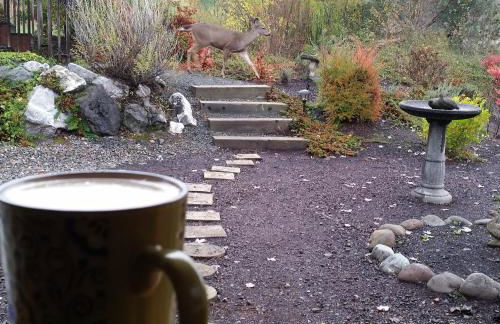 Charming, Private Cottage in Myrtle Creek - Foto 8