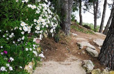 Apartamento entre la playa y la montaña - Photo 29