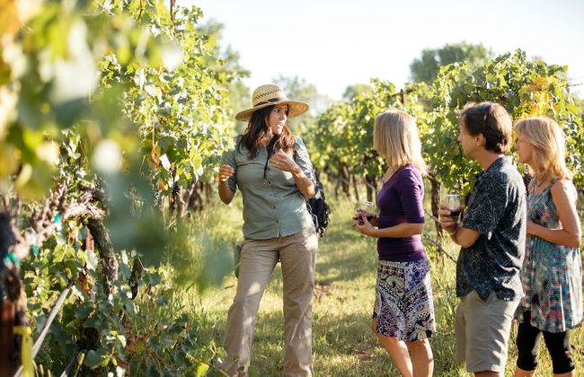 Las Posadas of Sedona - Photo 35